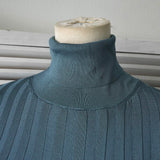 Acne Studios Women's Blue Ribbed Turtleneck