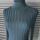 Acne Studios Women's Blue Ribbed Turtleneck