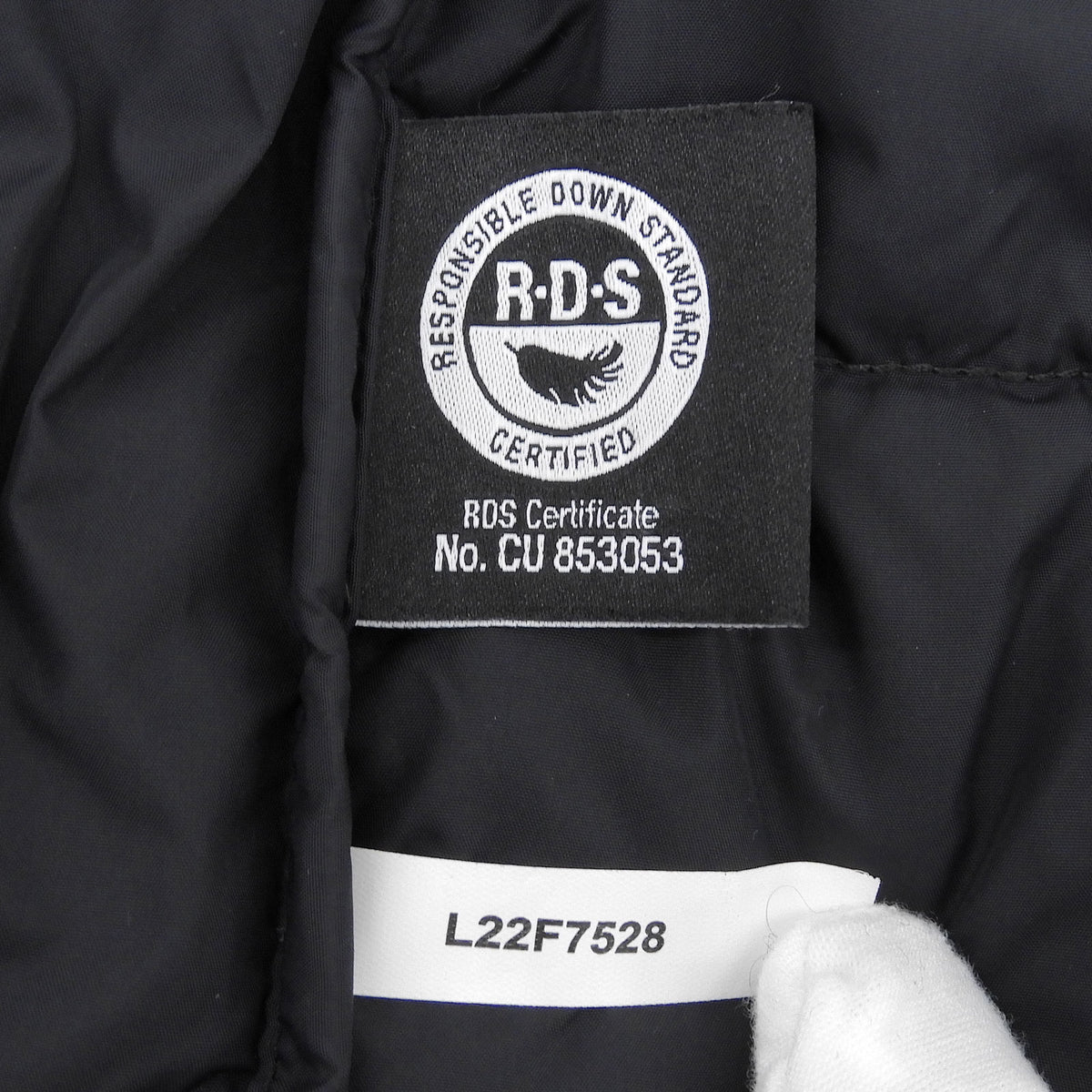 ザ・ノースフェイス 1996 ECO NUPTSE JACKET スタンドカラー ダウンジャケット ブラック M/95 メンズ