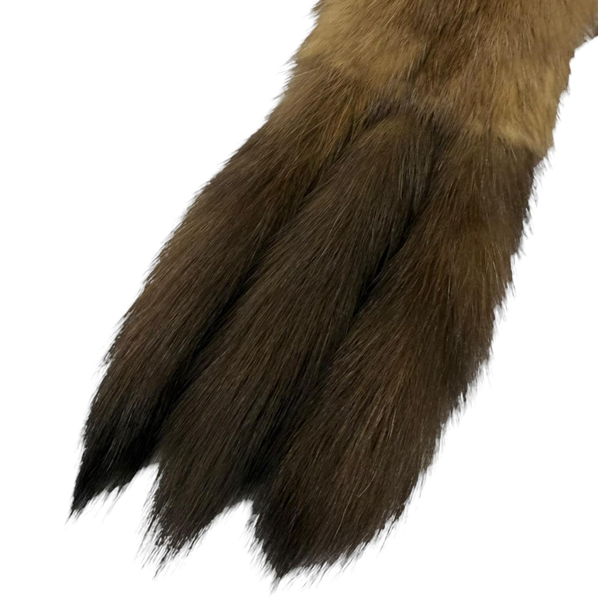 フォクシー 全長113cm 本毛皮ショール ブラウン レディース