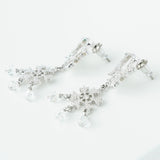 ディオール ロゴ ラインストーン スノー クリスタル ピアス シルバー