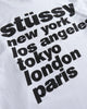 ステューシー 長袖Tシャツ ロンT ホワイト L メンズ