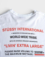 Maximum Respect ステューシー Tシャツ ホワイト L メンズ
