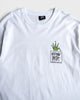 Champion Sound ステューシー Tシャツ ホワイト L メンズ