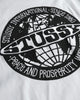 Worldwide Dot Tee ステューシー Tシャツ ホワイト L メンズ