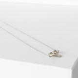 ティファニー アリエスゾディアック パロマピカソ シルバー925 ネックレス - NEWSED