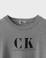 カルバンクライン ジーンズ ヴィンテージ CKロゴ Tシャツ グレー M レディース - NEWSED