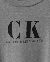 カルバンクライン ジーンズ ヴィンテージ CKロゴ Tシャツ グレー M レディース - NEWSED