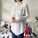 Long sleeve sheer shirt