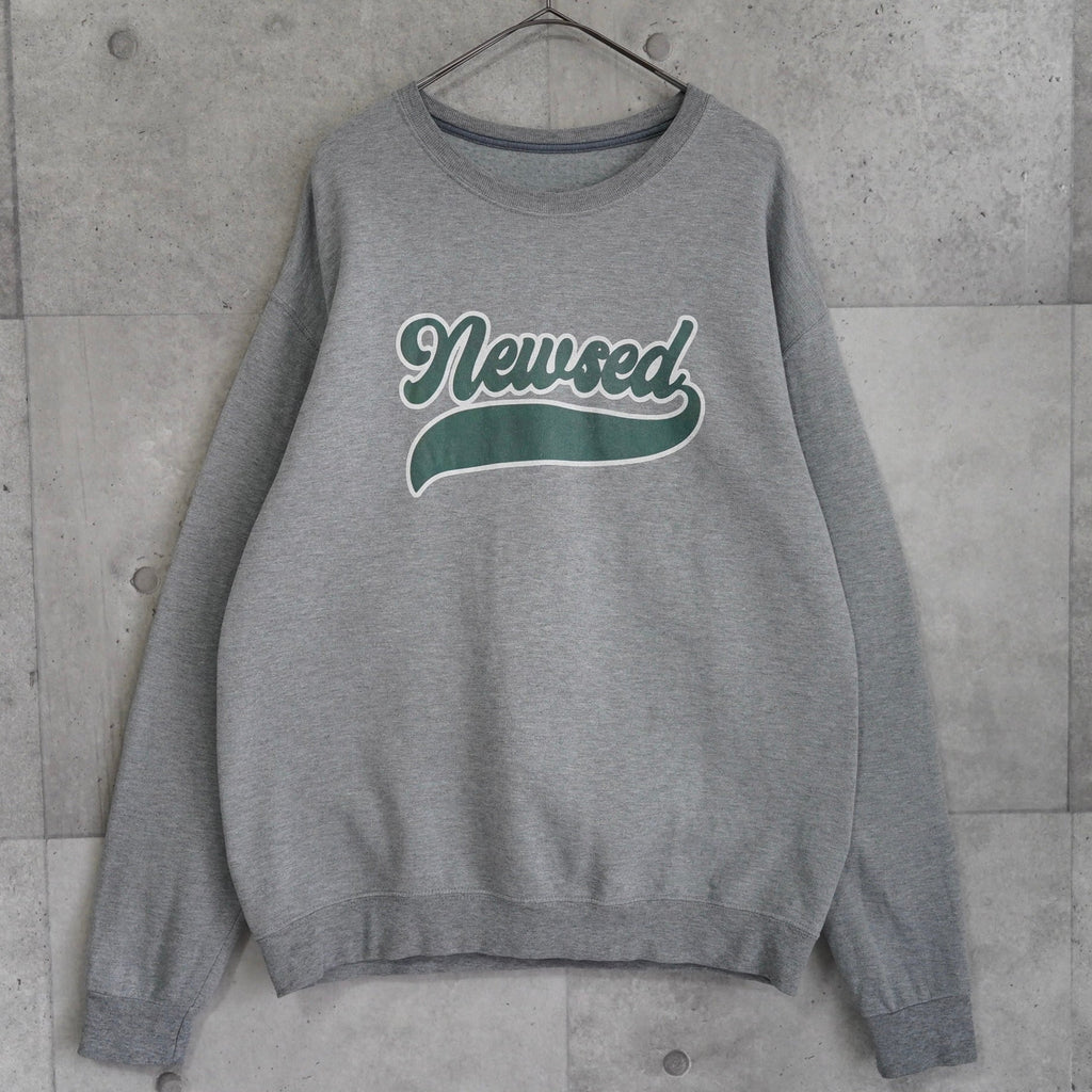 Newsed College Logo Remake Sweatshirt