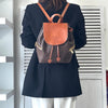 Celine Macadam 棕色穿孔 Blason PCC 皮革背包