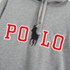 ポロ ラルフローレン ロゴ パーカー グレー