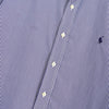 Polo Ralph Lauren logo embroidered striped long sleeve shirt in blue/white