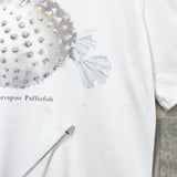 スリーワンフィリップリム ニットリブ切り替え Tシャツ ホワイト - NEWSED
