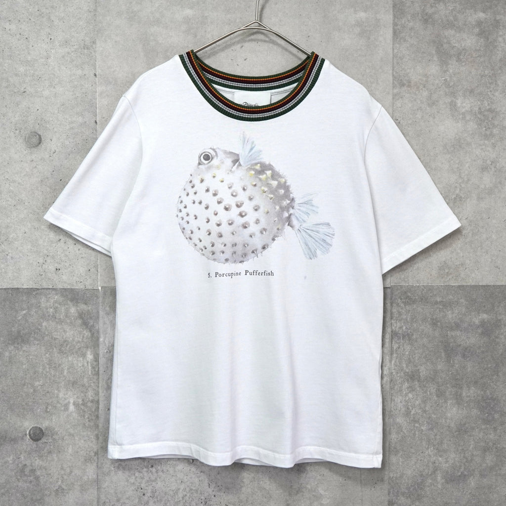 スリーワンフィリップリム ニットリブ切り替え Tシャツ ホワイト