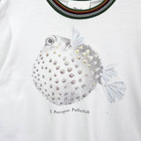 スリーワンフィリップリム ニットリブ切り替え Tシャツ ホワイト - NEWSED