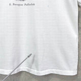 スリーワンフィリップリム ニットリブ切り替え Tシャツ ホワイト - NEWSED
