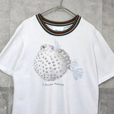 スリーワンフィリップリム ニットリブ切り替え Tシャツ ホワイト - NEWSED