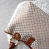 Triomphe Nylon Hand Bag
