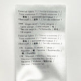 ヴァレンティノ Vネック 花柄レース ニット ワンピース グレー S レディース - NEWSED